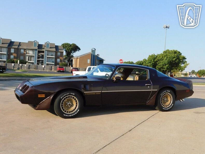 1981 Pontiac Firebird Trans Am