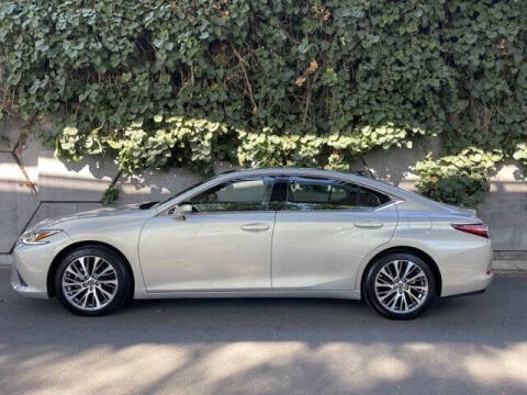 2019 Lexus ES 350 for sale at Nohr's Auto Brokers in Walnut Creek CA