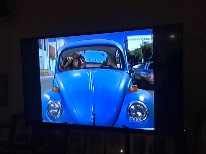 1977 Volkswagen Beetle