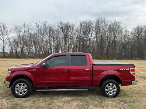 2013 Ford F-150 for sale at Southard Auto Sales LLC in Hartford KY