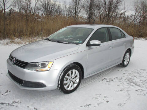 2013 Volkswagen Jetta for sale at Action Auto Wholesale - 30521 Euclid Ave. in Willowick OH