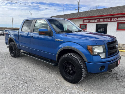 2013 Ford F-150 for sale at Sarpy County Motors in Springfield NE