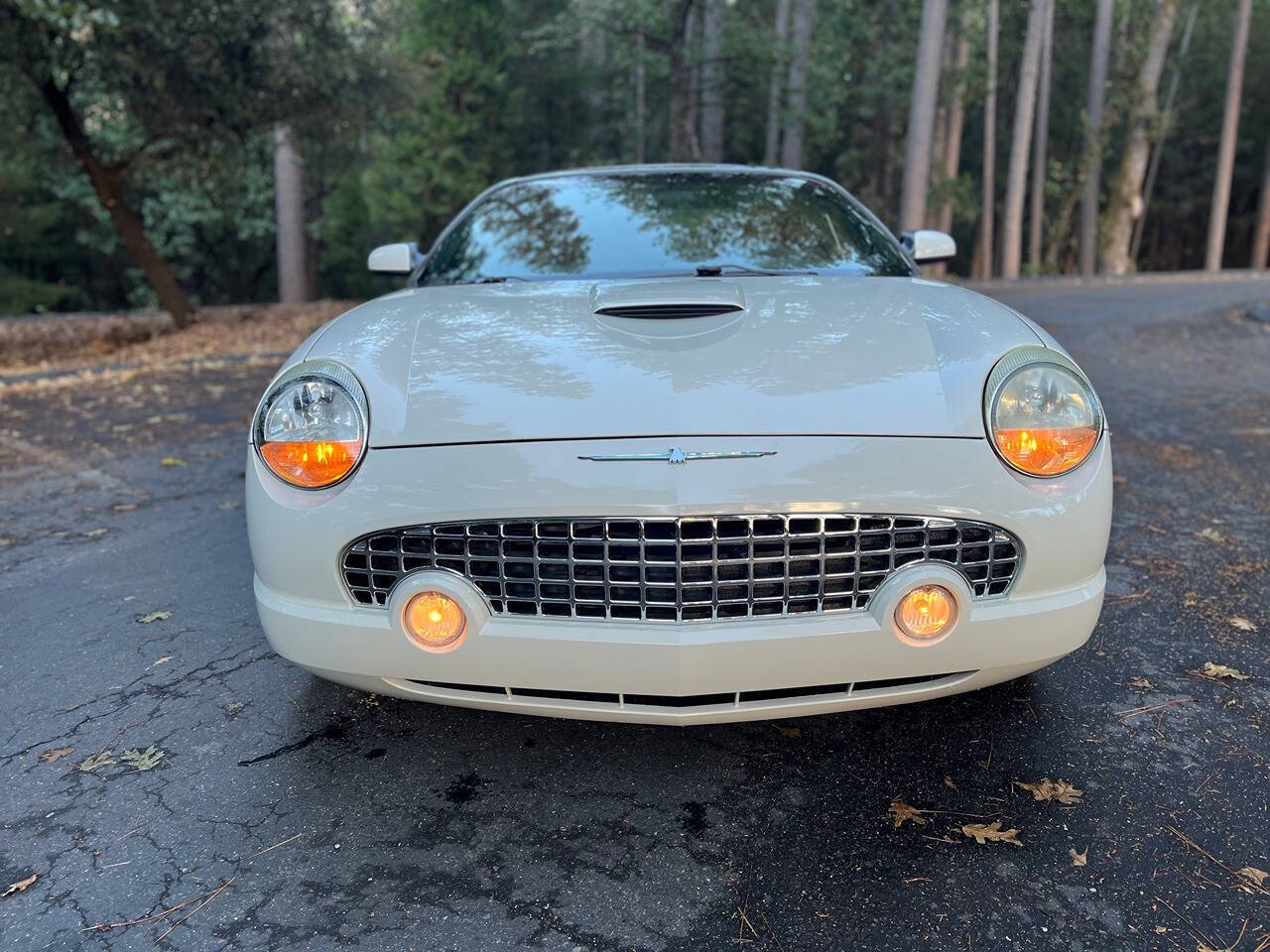 2003 Ford Thunderbird for sale at Gold Country Classic Cars in Nevada City, CA