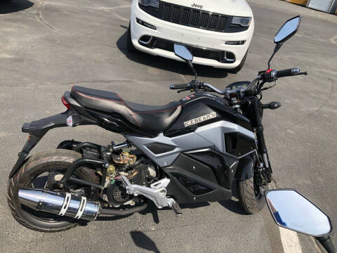 2022 DAIX ICE BEAR MINI MAX 50cc