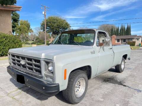 1979 Chevrolet C/K 20 Series for sale at Classic Car Deals in Cadillac MI