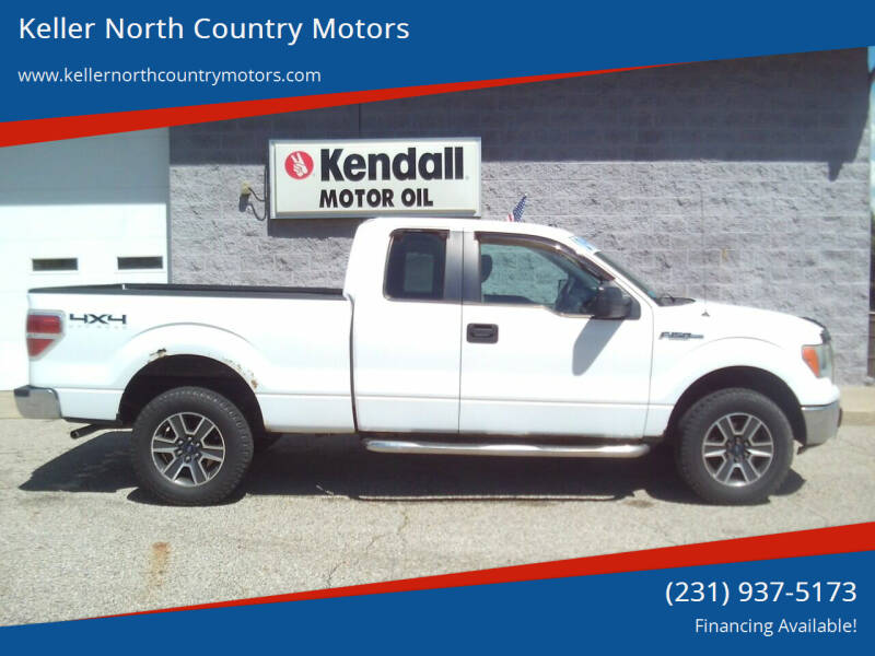 2010 Ford F-150 for sale at Keller North Country Motors in Howard City MI