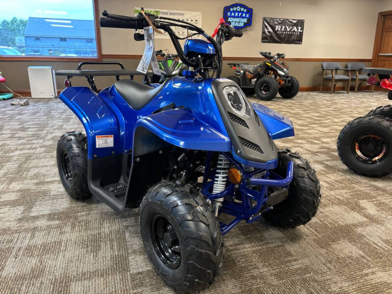 2023 Tao Rock 110 for sale at 82 Motors - Powersports in Columbia Station OH