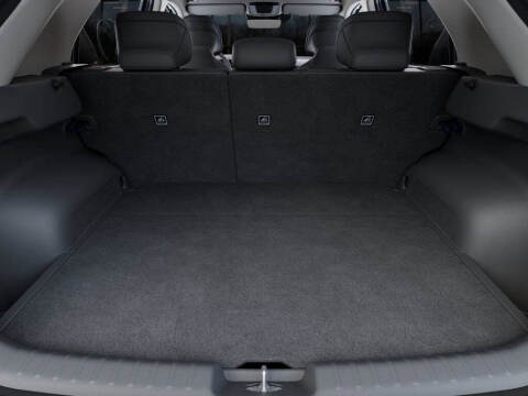 2025 Kia Niro EV Wind