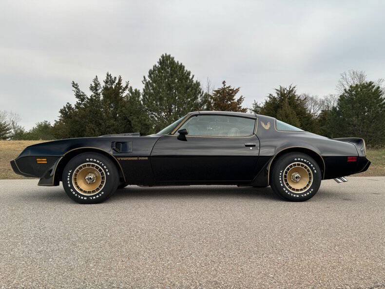 1981 Pontiac Firebird Trans Am