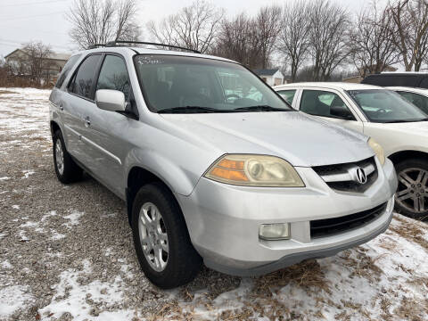 2005 Acura MDX for sale at HEDGES USED CARS in Carleton MI