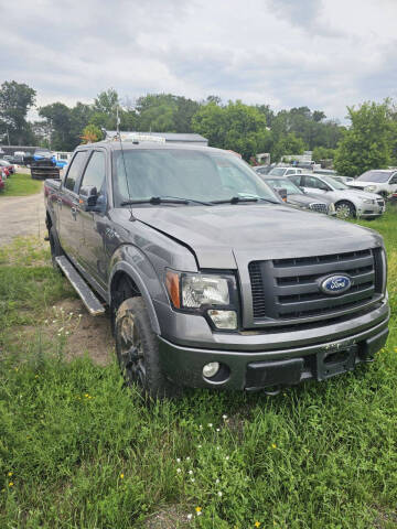 2010 Ford F-150 for sale at D & T AUTO INC in Columbus MN