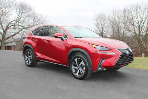 2020 Lexus NX 300h for sale at Harrison Auto Sales in Irwin PA