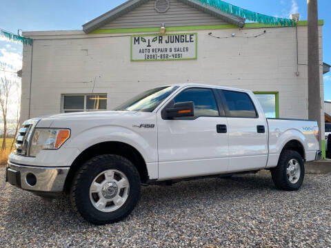 2012 Ford F-150 for sale at Motor Jungle in Preston ID