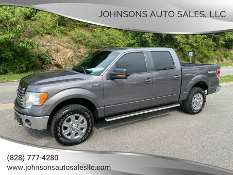 2011 Ford F-150 for sale at Johnsons Auto Sales, LLC in Marshall NC