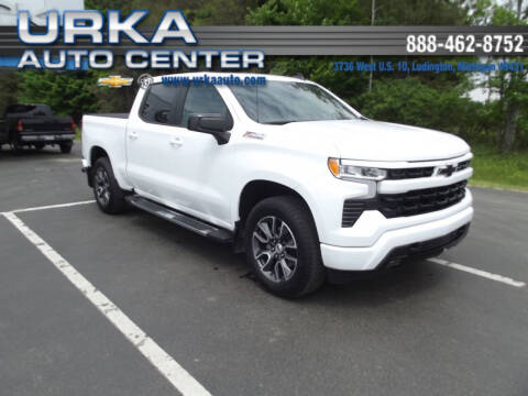 2022 Chevrolet Silverado 1500 for sale at Urka Auto Center in Ludington MI