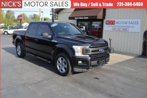 2019 Ford F-150 for sale at Nick's Motor Sales in Kalkaska MI