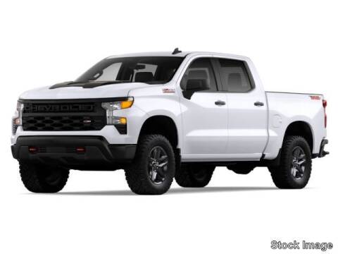 2022 Chevrolet Silverado 1500 for sale at Meyer Motors in Plymouth WI