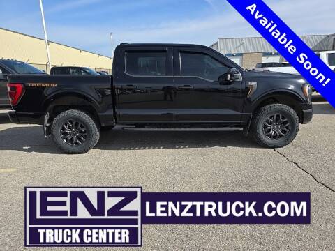 2023 Ford F-150 for sale at LENZ TRUCK CENTER in Fond Du Lac WI