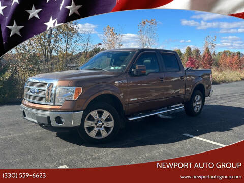 2011 Ford F-150 for sale at Newport Auto Group in Boardman OH