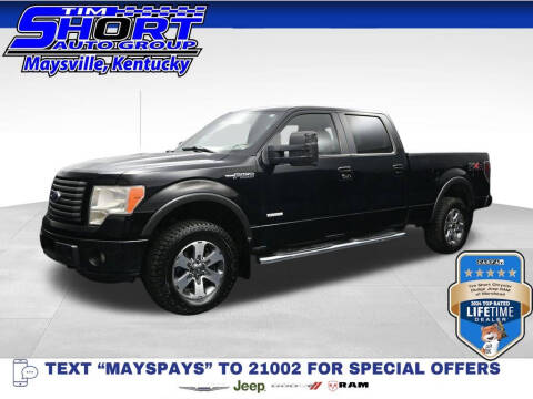 2011 Ford F-150