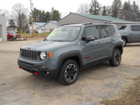 2015 Jeep Renegade for sale at Shaw Motor Sales in Kalkaska MI