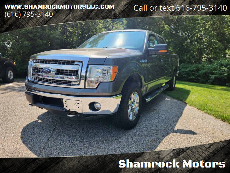 2014 Ford F-150 for sale at Shamrock Motors in Holland MI