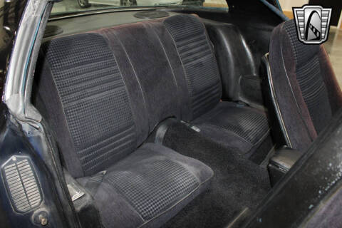 1981 Pontiac Firebird Trans Am