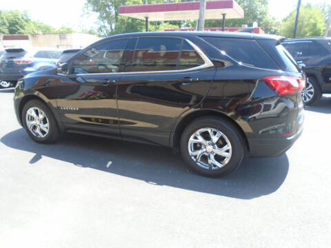 2018 Chevrolet Equinox for sale at Nelson Auto Sales in Toulon IL