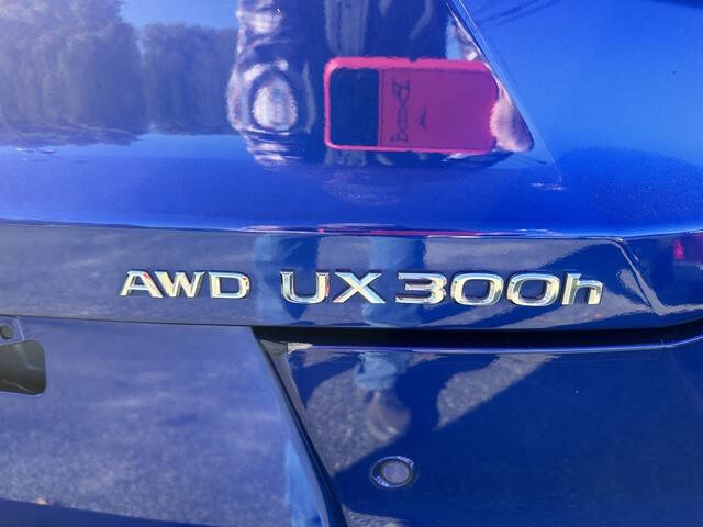 2025 Lexus UX 300h