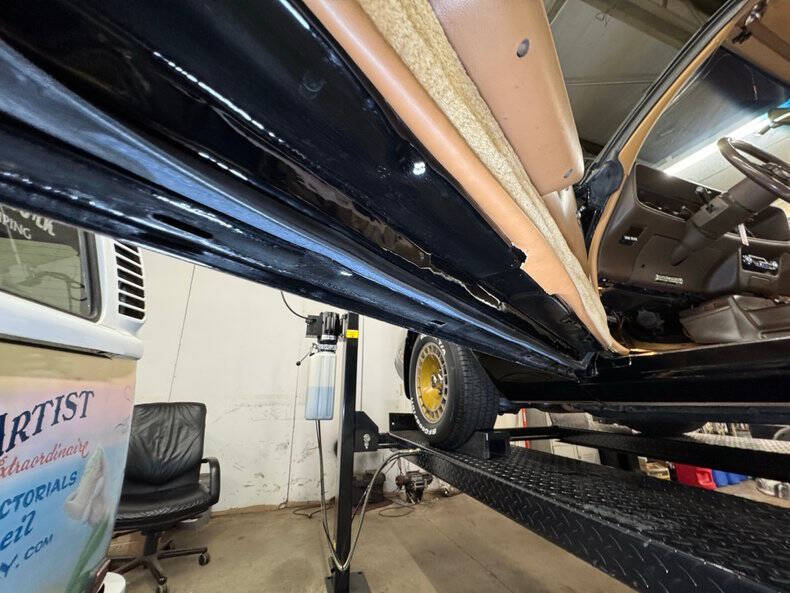 1981 Pontiac Firebird Trans Am