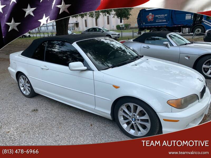 2004 BMW 3 Series for sale at TEAM AUTOMOTIVE in Valrico FL