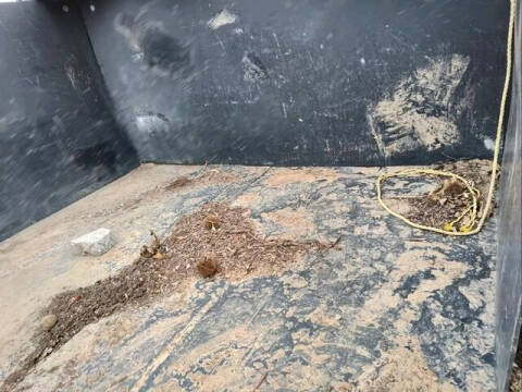 2022 Belmont Landscaping Dump