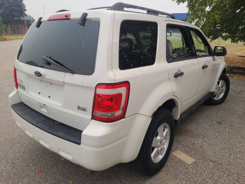 2010 Ford Escape XLT