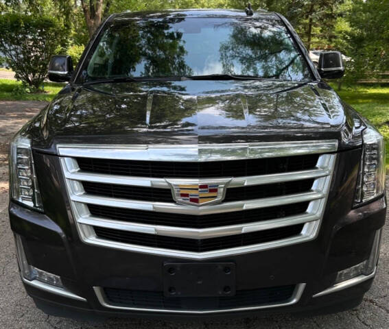 2016 Cadillac Escalade for sale at Quality Cars Of South Elgin in South Elgin, IL