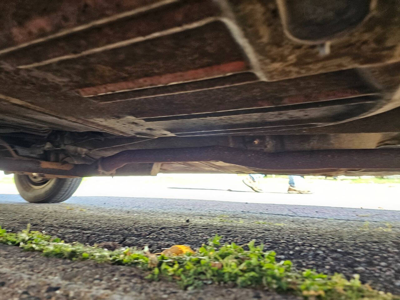 1964 Ford Mustang 224