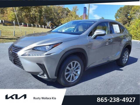 2020 Lexus NX 300 for sale at RUSTY WALLACE KIA Alcoa in Louisville TN