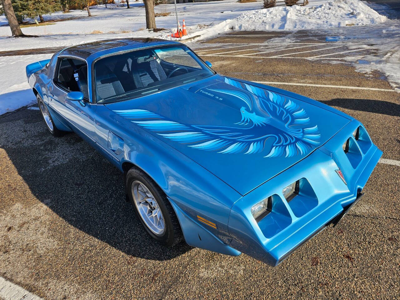 1980 Pontiac Firebird Trans Am 21