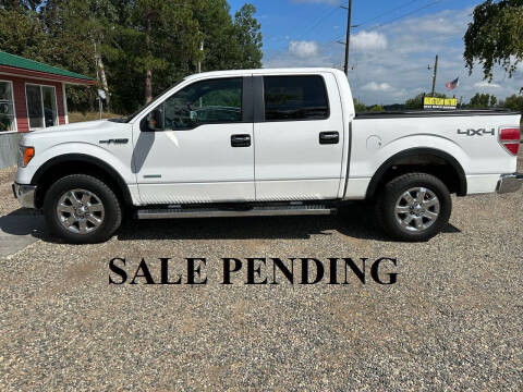 2013 Ford F-150 for sale at Mainstream Motors MN in Park Rapids MN