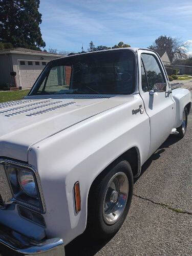 1976 Chevrolet C/K 20 Series
