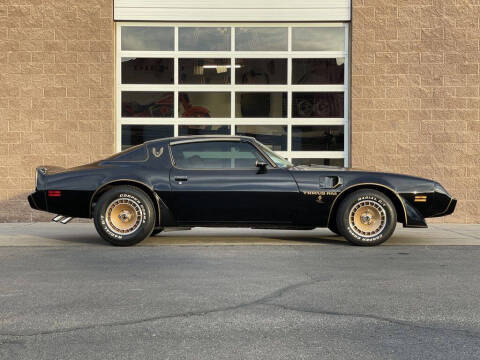 1981 Pontiac Firebird Trans Am