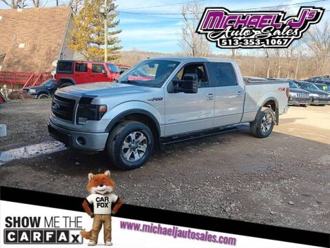 2014 Ford F-150 for sale at MICHAEL J'S AUTO SALES in Cleves OH