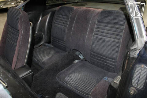 1981 Pontiac Firebird Trans Am