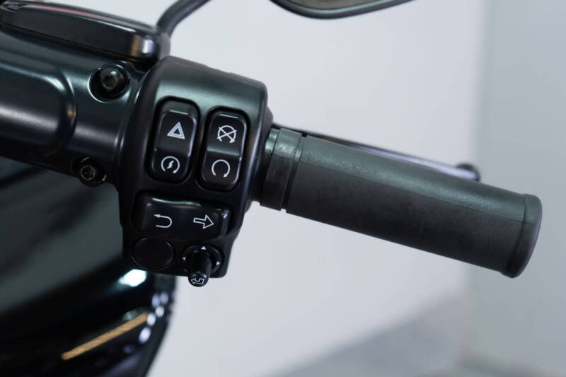 2021 Harley-Davidson Road Glide Special