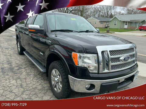2011 Ford F-150 for sale at Cargo Vans of Chicago LLC in Bradley IL