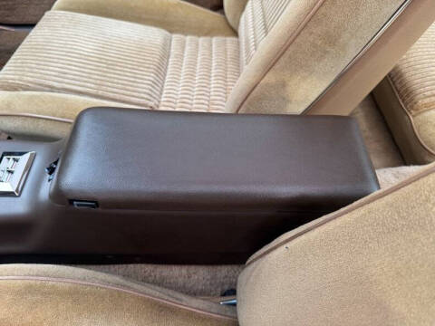 1981 Pontiac Firebird Trans Am