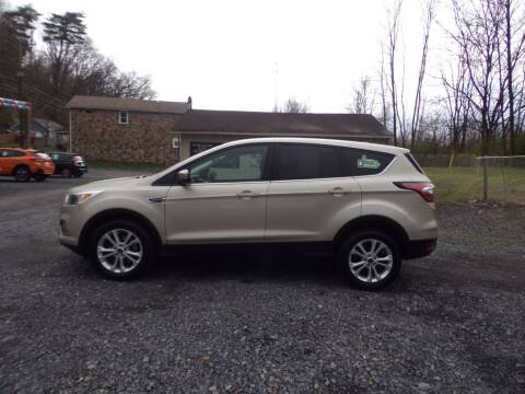 2017 Ford Escape for sale at RJ McGlynn Auto Exchange in West Nanticoke PA