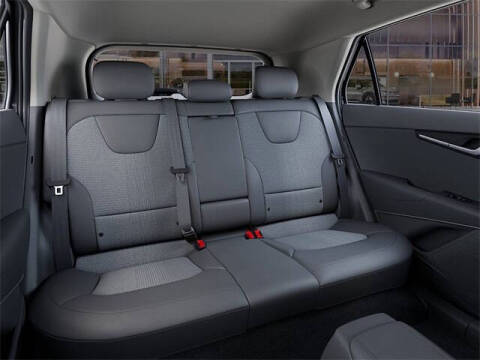 2025 Kia Niro EV Wind