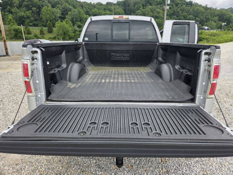 2011 Ford F-150