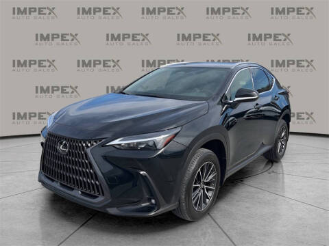 2022 Lexus NX 250 for sale at Impex Auto Sales in Greensboro NC