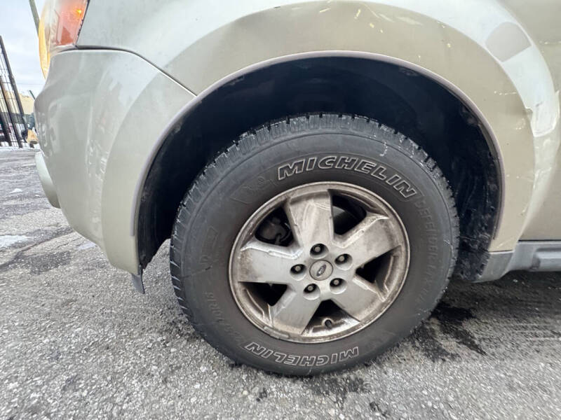 2011 Ford Escape XLT